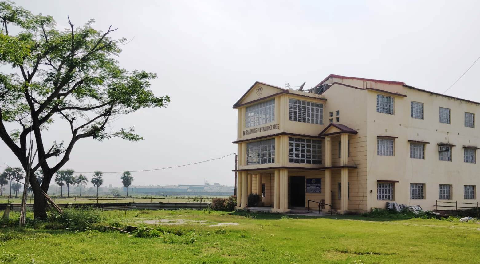International Institute of Management Sciences